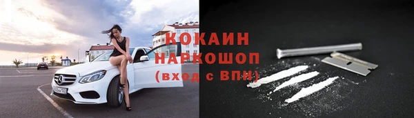 сатива Армянск