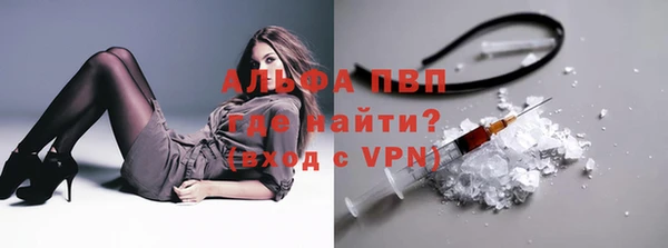 сатива Армянск