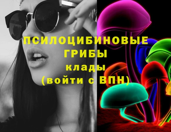 сатива Армянск