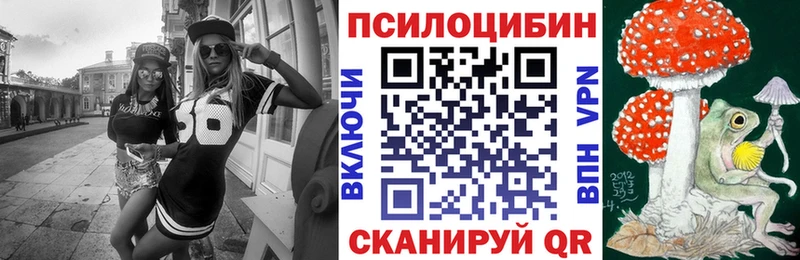 где купить наркоту  Луховицы  Псилоцибиновые грибы Psilocybe 